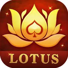 teen patti winner bonus download
